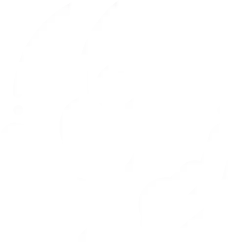 Startup